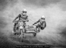 Racing Sidecars by Lynda Haney, LCPU