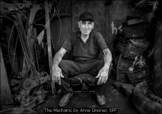 The Mechanic by Anne Greiner, SPF
