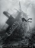 Wreck Diver by Kenneth Gillies, SPF