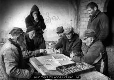 Your Move by Anne Greiner, SPF