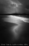 Silver Tide by Judith Kimber, NIPA