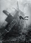 Wreck Diver by Kenneth Gillies, SPF