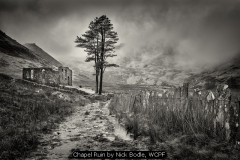 Chapel Ruin by Nick Bodle, WCPF