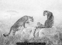 Leopard Family by Lynda Haney, L&CPU