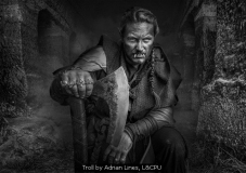 Troll by Adrian Lines, L&CPU