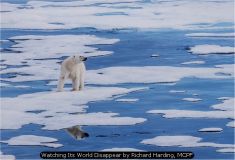 Watching Its World Disappear by Richard Harding, MCPF