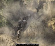 In The Lead by Bev Clough, YPU