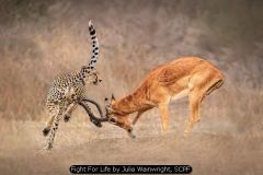 Fight For Life by Julia Wainwright, SCPF