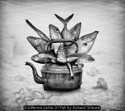 A Different Kettle Of Fish by Richard OMeara