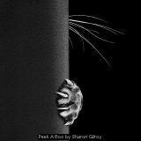 Masters of Print 2025