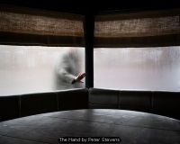The Hand by Peter Stevens