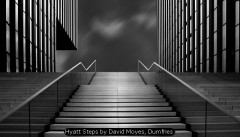Hyatt Steps by David Moyes, Dumfries