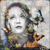 Natures Grace by Rikki ONeill, Dundee