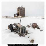 No Longer Of Use by Janette Ison, Jersey